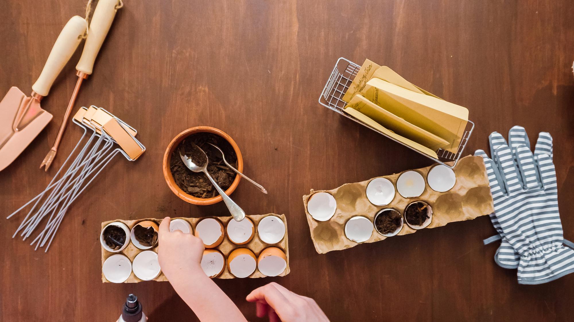 Sample tasting kit on wooden table